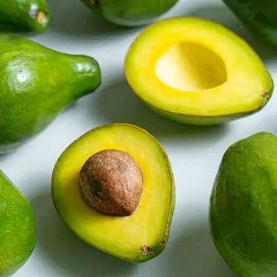 Alpukat Mentega