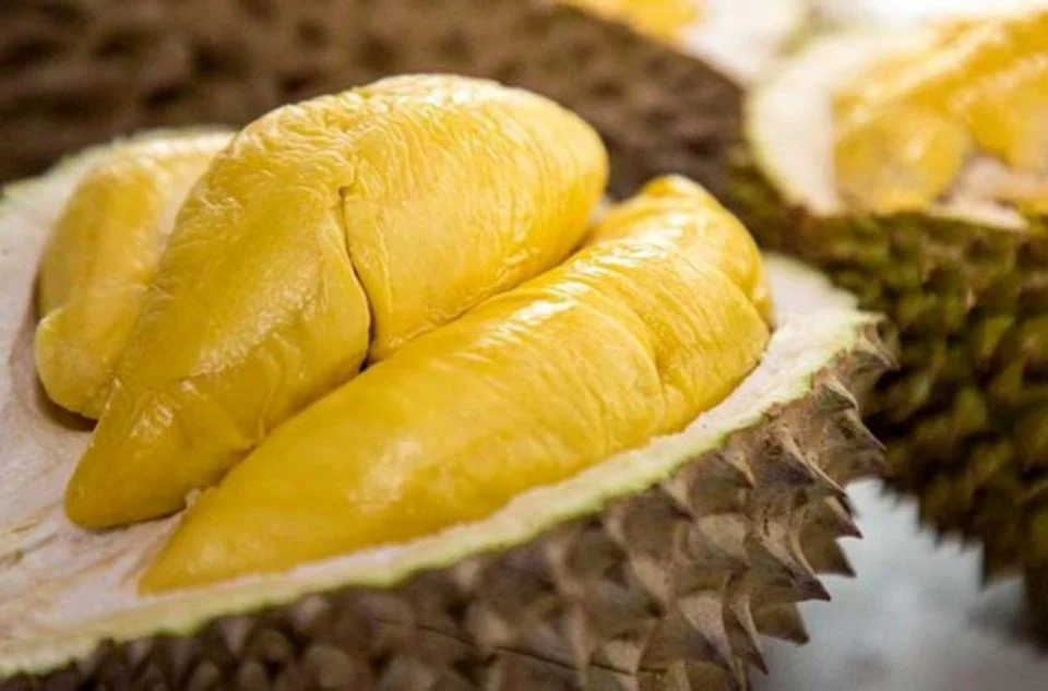 Durian Musang King